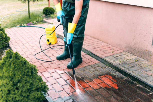 Best Affordable Power Washing  in Carbon Hill, AL