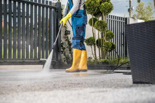 Best Affordable Power Washing  in Carbon Hill, AL