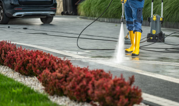 Best Exterior Home Cleaning  in Carbon Hill, AL