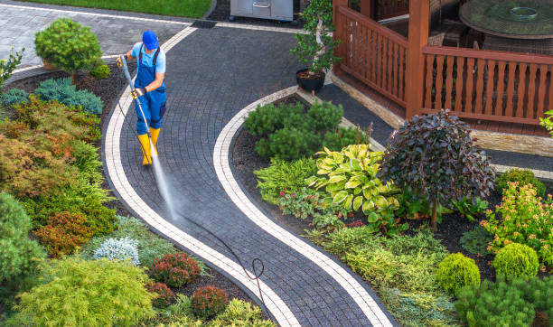 Best Local Pressure Washing Services  in Carbon Hill, AL
