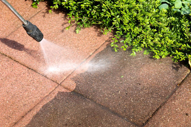 Best Commercial Building Pressure Washing  in Carbon Hill, AL